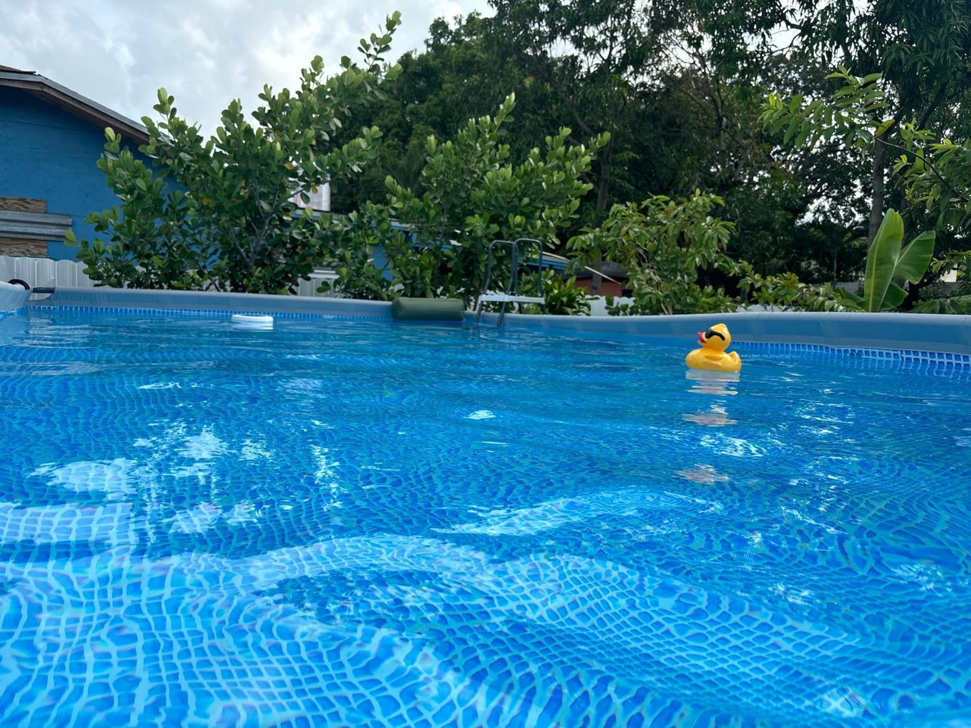 Mini House Oasis Hotel Miami Springs Kültér fotó